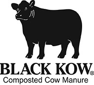 morgan outdoors carries black kow